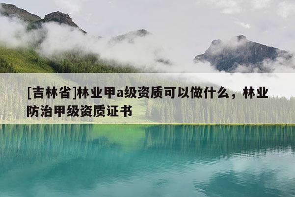 [吉林省]林業(yè)甲a級資質(zhì)可以做什么，林業(yè)防治甲級資質(zhì)證書