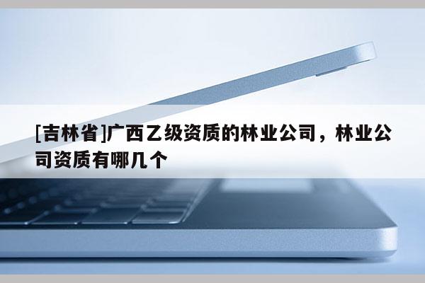 [吉林省]廣西乙級(jí)資質(zhì)的林業(yè)公司，林業(yè)公司資質(zhì)有哪幾個(gè)